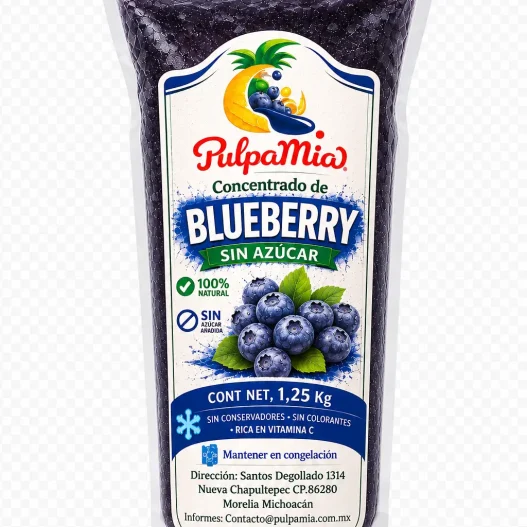 Envase de concentrado de blueberry sin azúcar Pulpamia 1.25 kg 100% natural con fondo blanco